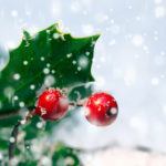 Quel est le sens du gui et du houx, à Noël ? Quel est le sens du gui et du houx, à Noël ?