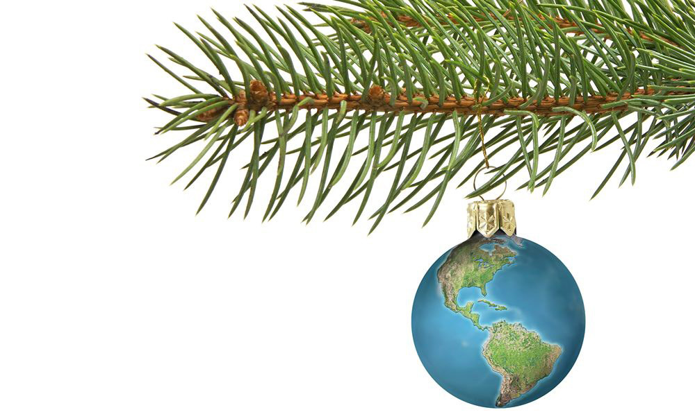 Comment vivre un Noël écologique ? - La lumière de Noël